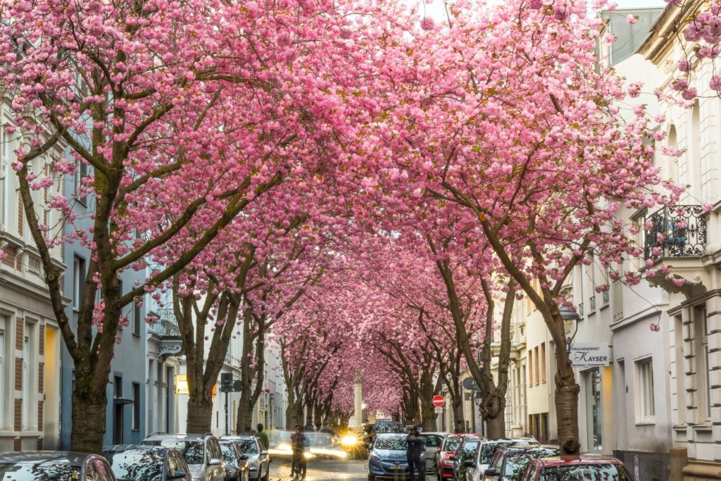 Bonn, Germany