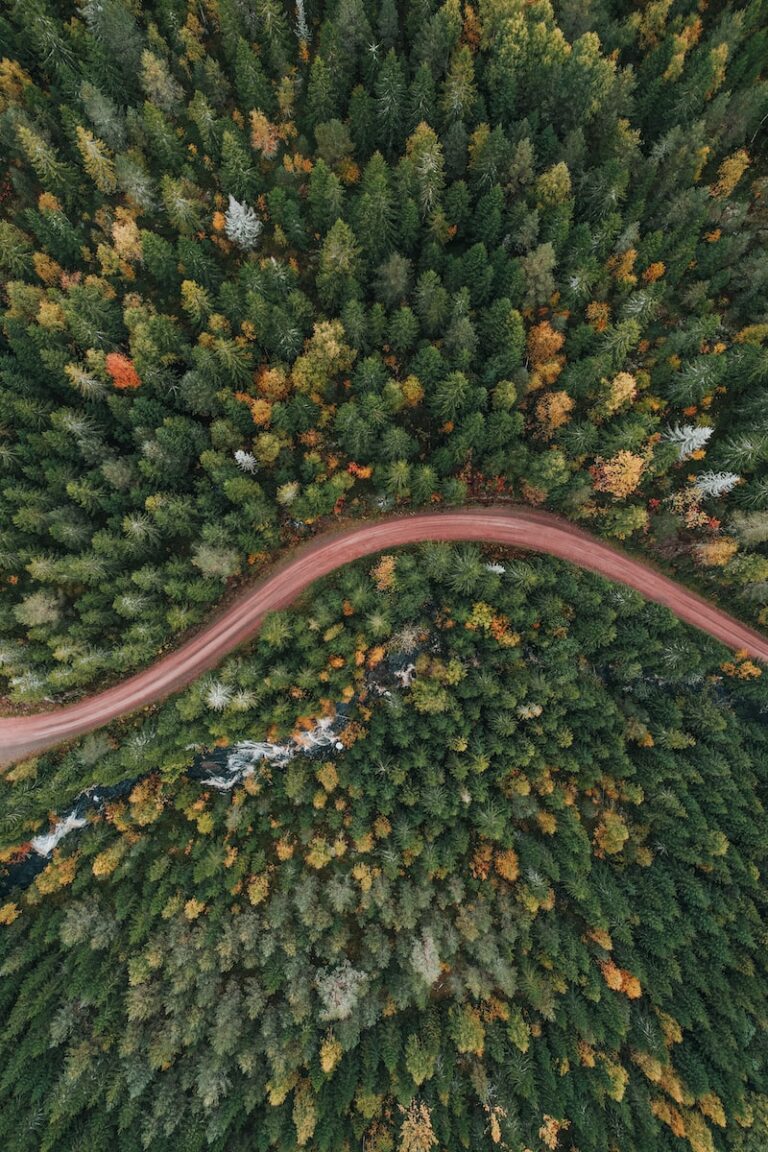 an aerial view of a road in the middle of a forest