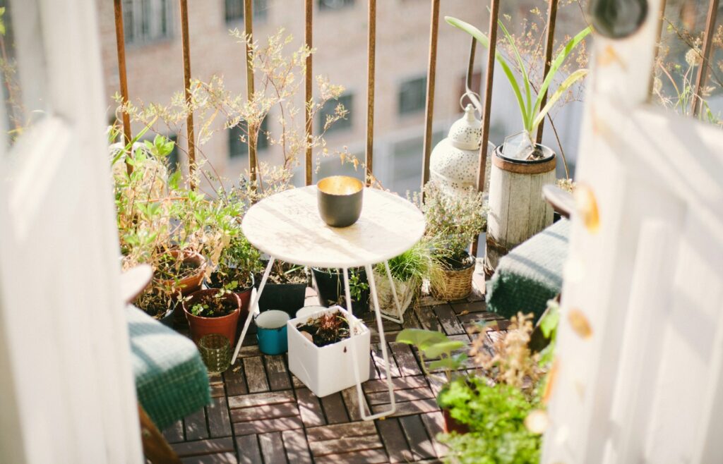 garden on terrace during daytime